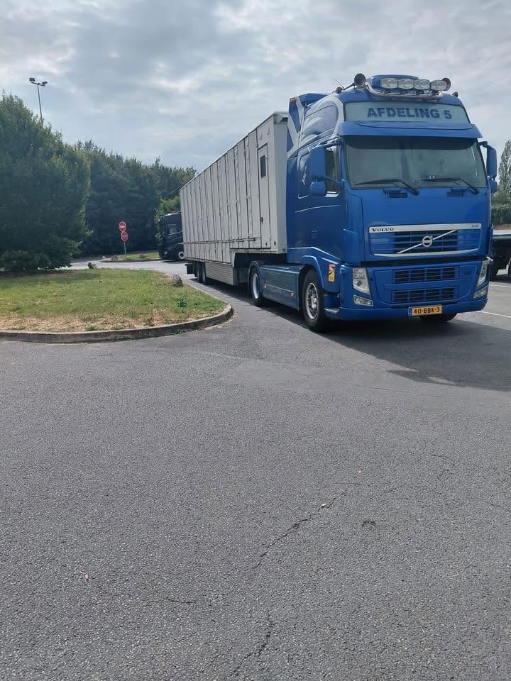 Nederlandse duiven in Tours